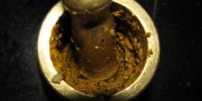 Рецепт гуляша из языка