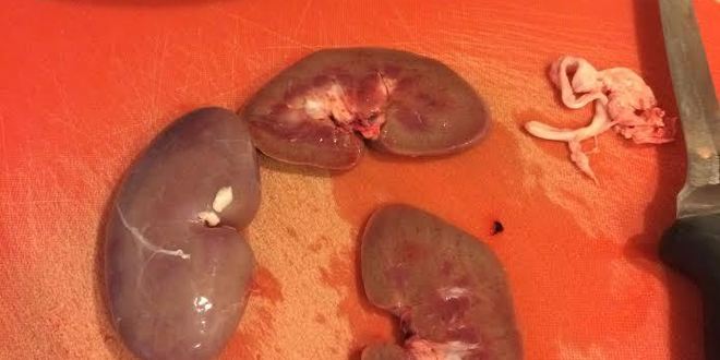 Рецепт традиционного кучмачи по-грузински из потрашков