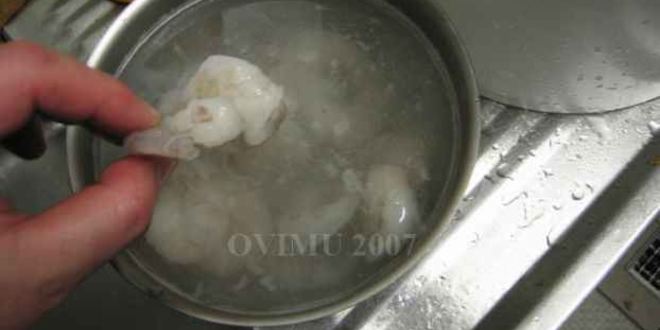 Рецепт лапши рисовой с овощами и креветками