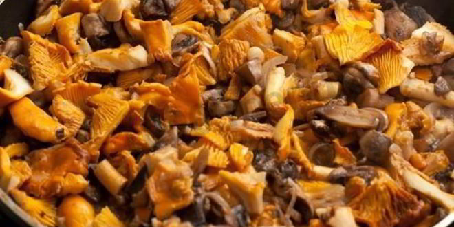 Рецепт лазаний с сыром и грибами