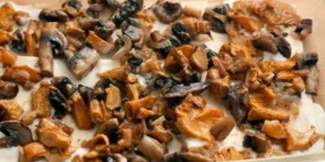 Рецепт лазаний с сыром и грибами