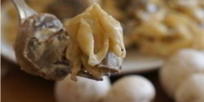 Рецепт пасты с белыми грибами в сливочном соусе