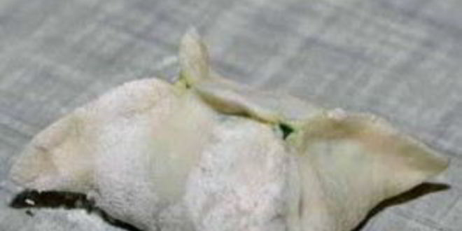 Рецепт мантов со шпинатом