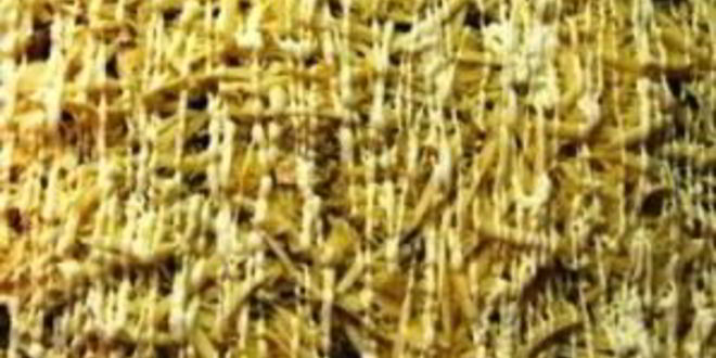 Рецепт мяса по-французски из куриного фарша