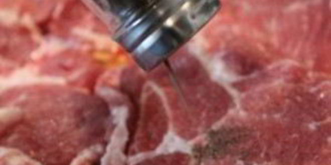 Рецепт мяса по-французски в пароварке