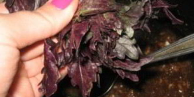 Рецепт баранины с базиликом