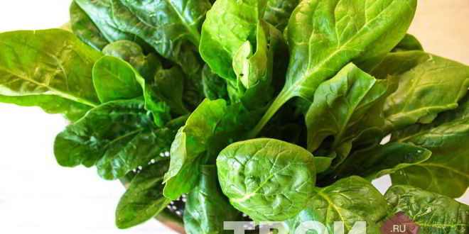 Рецепт куриной грудки со шпинатом