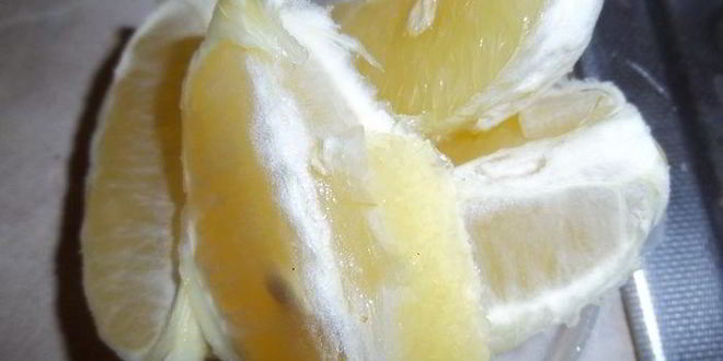 Рецепт курицы с лимоном под медово-соевым соусом