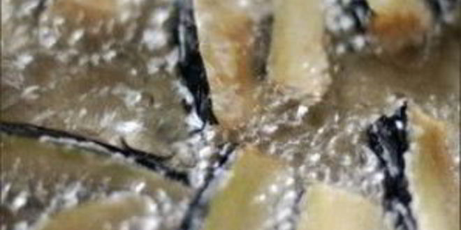 Рецепт баклажанов по-пекински