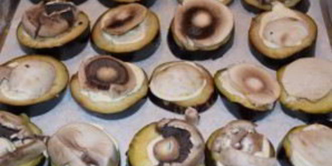 Рецепт баклажанов, запеченных с помидорами и грибами