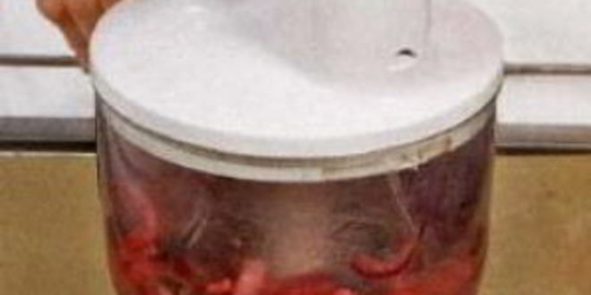 Рецепт говяжьей печенки с красным луком