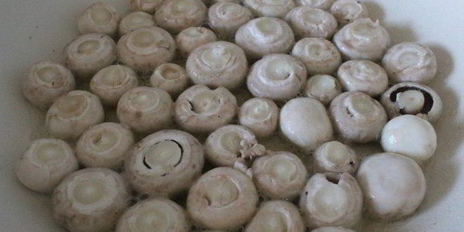 Рецепт куриной печени форрестер