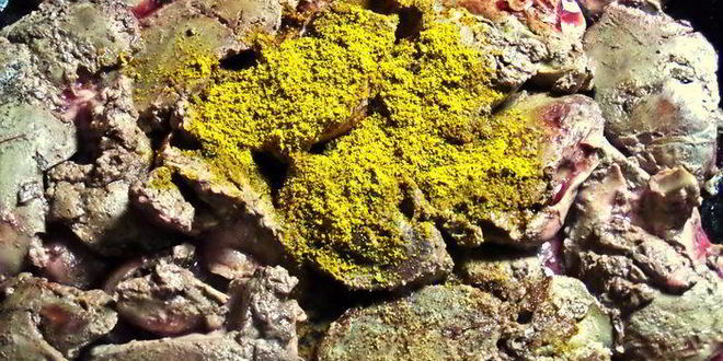 Рецепт печенки под овощной шубкой