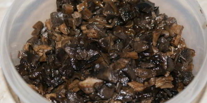 Рецепт пельменей с сухими грибами и яйцом