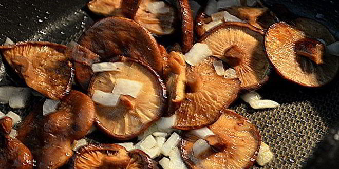 Рецепт говяжьего рагу с грибами и розмарином