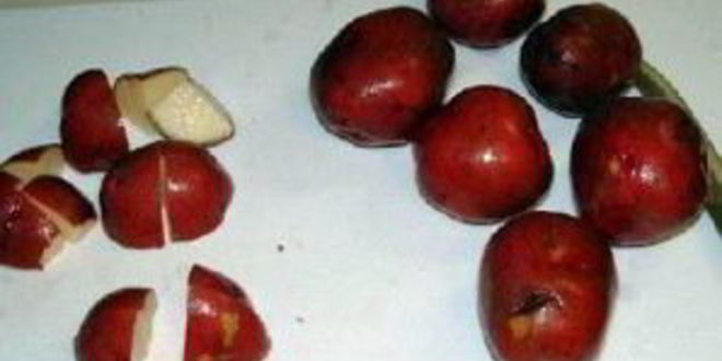 Рецепт рагу из говядины