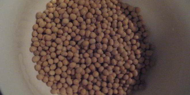 Рецепт рагу с соевыми бобами в чугунке