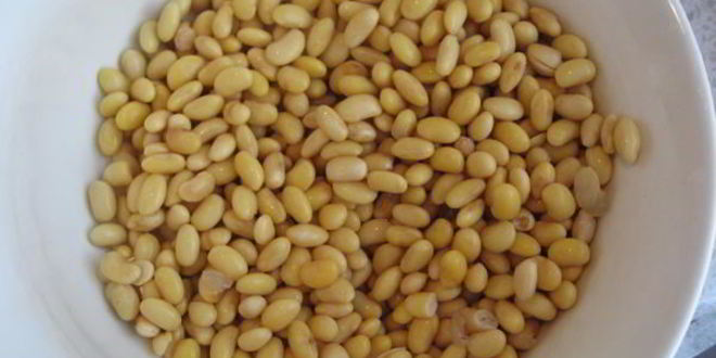 Рецепт рагу с соевыми бобами в чугунке