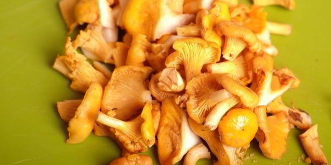 Рецепт ризотто с лисичками