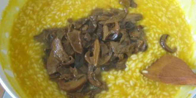 Рецепт ризотто с тыквой и белыми грибами