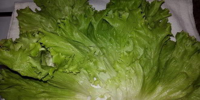 Рецепт кальмаров в кляре с постно-чесночным соусом