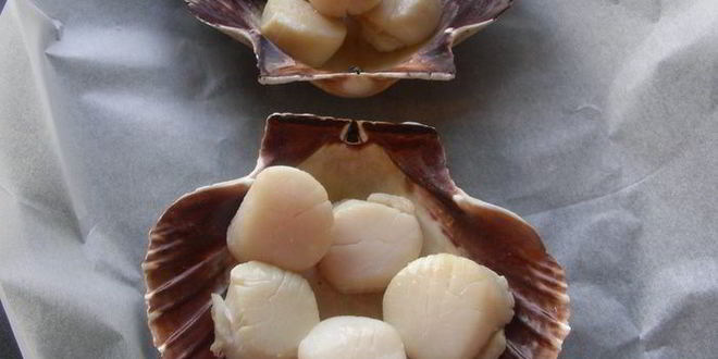 Рецепт морских гребешков, запеченных под соусом бешамель и румяной корочкой