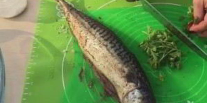 Рецепт нежной и сочная скумбрия на мангале