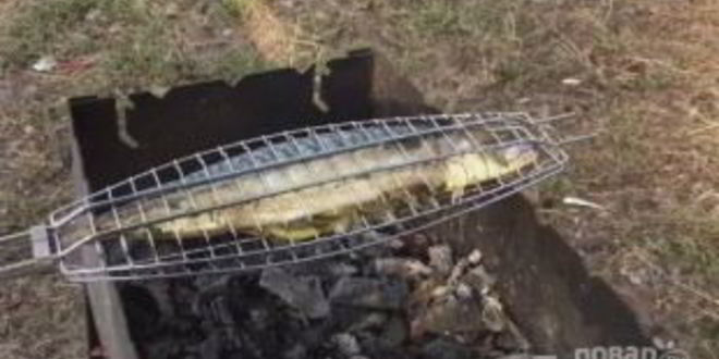 Рецепт нежной и сочная скумбрия на мангале