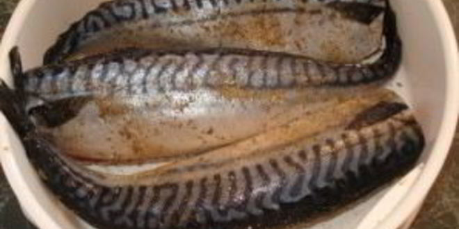 Рецепт скумбрии на пару в мультиварке