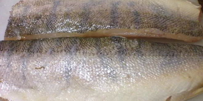 Рецепт судака с картофелем в духовке с сыром