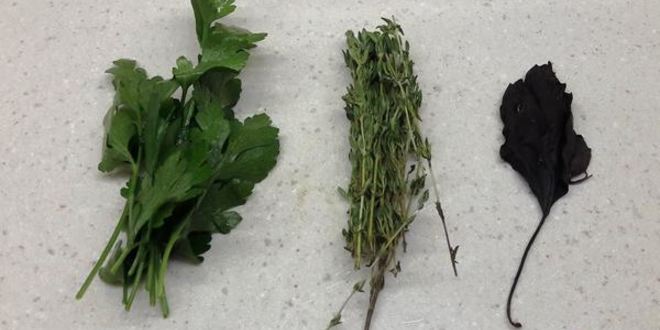 Рецепт запеченного линя