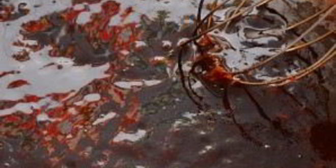 Рецепт куриного шашлыка с ананасом