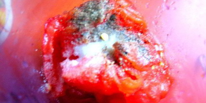 Рецепт шашлычков из крылышек и томатный соус