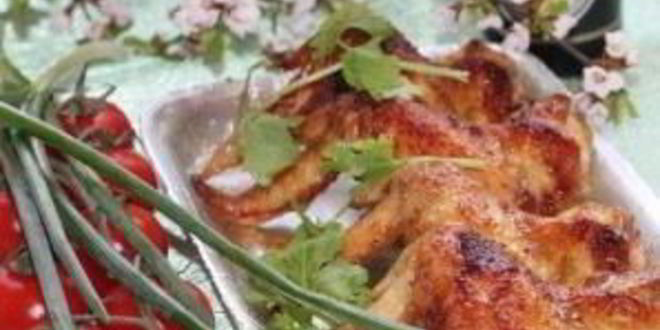 Рецепт шашлыка из крылышек