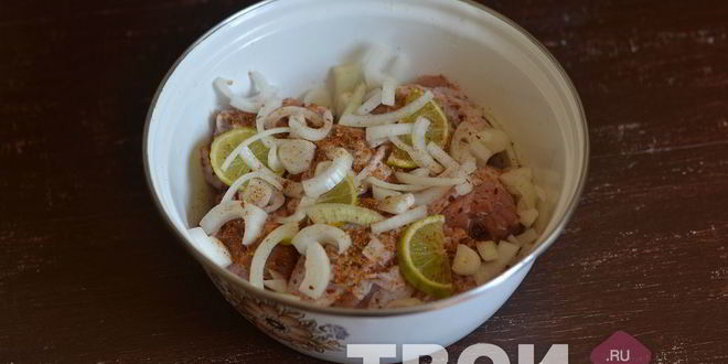 Рецепт шашлыка из курицы