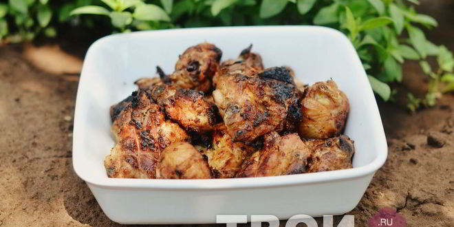 Рецепт шашлыка из курицы