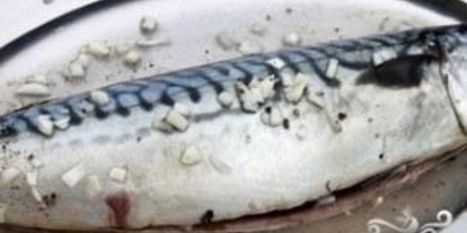 Рецепт шашлыка из скумбрии