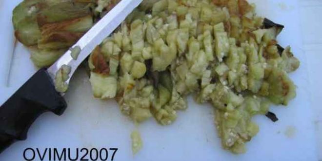 Рецепт шашлыка из свинины