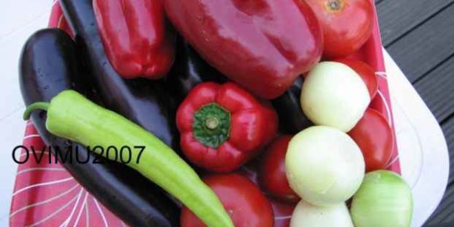 Рецепт шашлыка из свинины