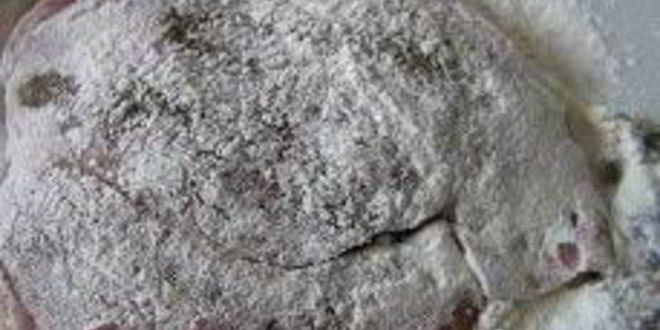 Рецепт шницеля в мятной панировке с кунжутом