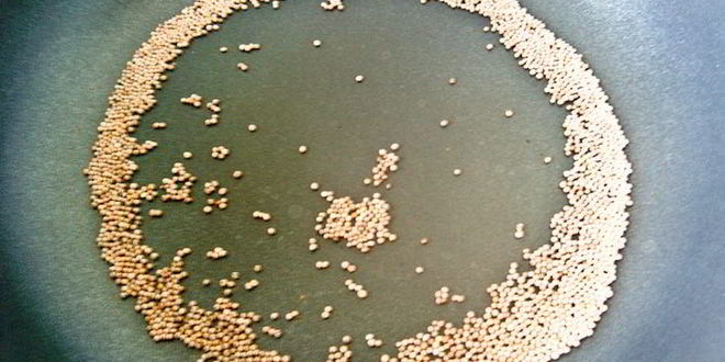 Рецепт тефтелей в горчичном соусе