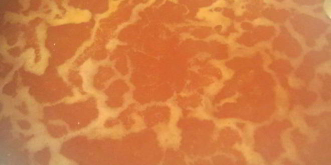 Рецепт тефтелей в томатном соусе