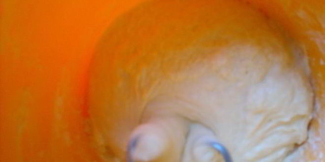 Рецепт вареников со сливами