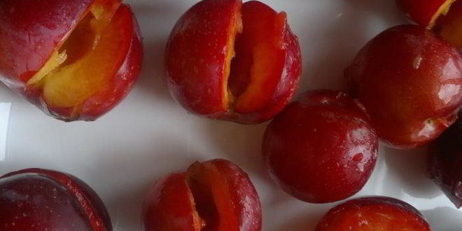 Рецепт вареников со сливами