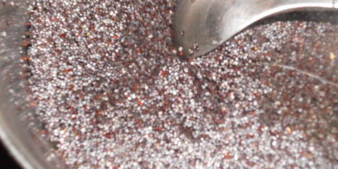 Рецепт вкуснейших вареников с маком