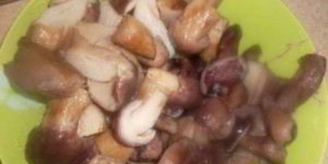 Рецепт жаркого из грибов с картошкой