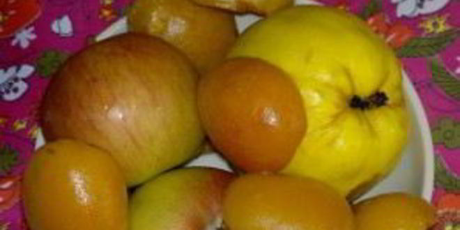 Рецепт каши рисовой в духовке