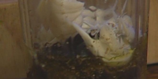 Рецепт поленты с оливками