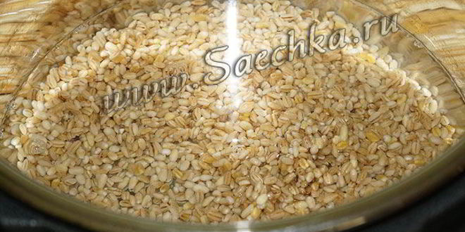 Рецепт перловки с тушенкой в мультиварке steba