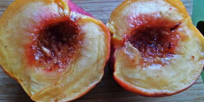 Рецепт каши пшенной, запеченной под персиком